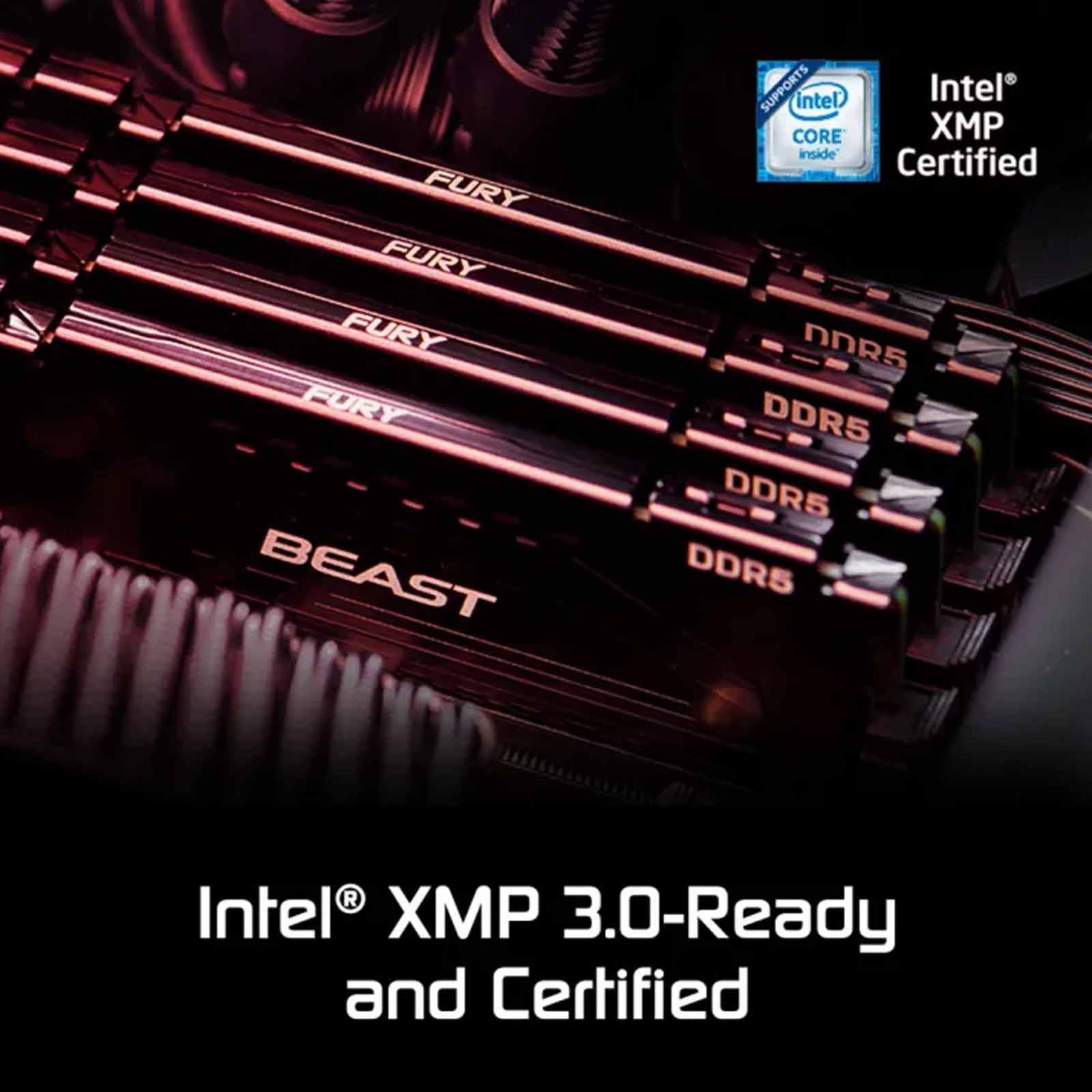 Kingston FURY BEAST DDR5 8GB 16GB 32GB 5200 5600 6000 MHZ Desktop