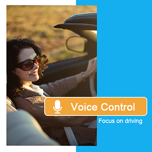 Voice Control