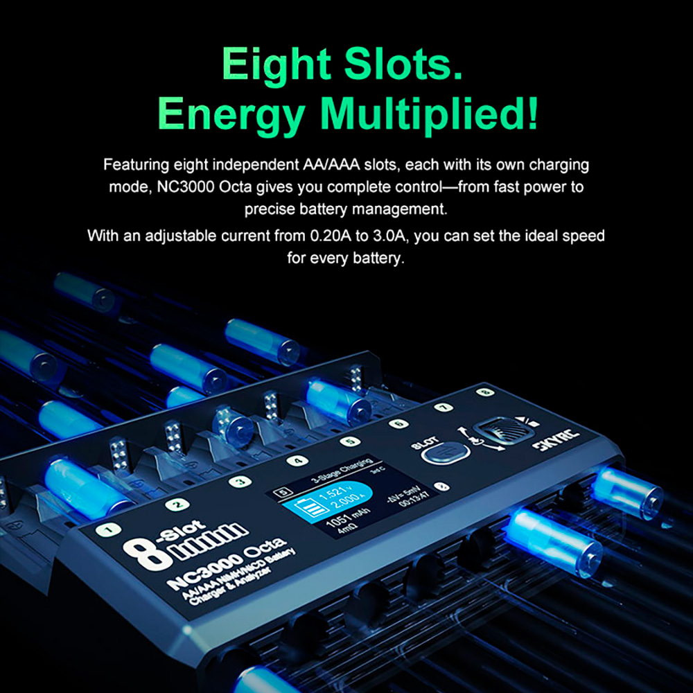 CITYORK 4er D Cell 8000mAh Batteries with 8 Slots (AA/AAA/C/D) Ni-MH Ni