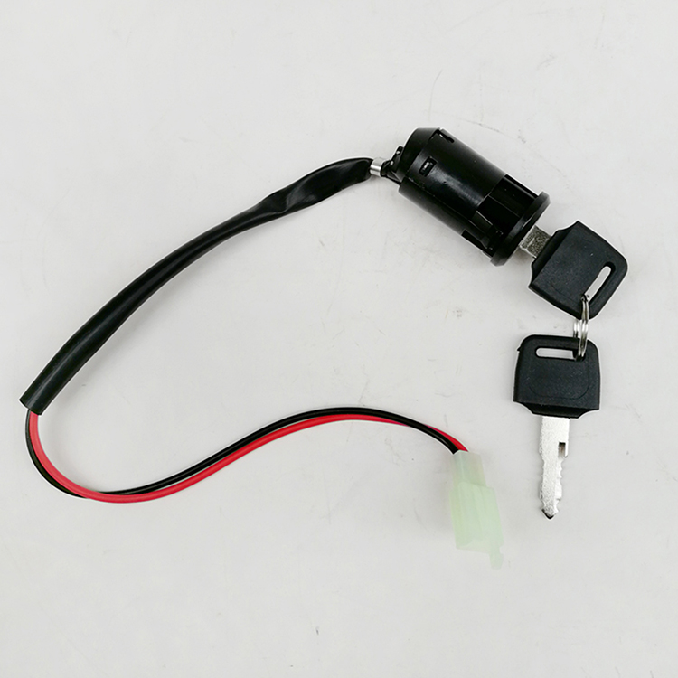 electric bike ignition switch