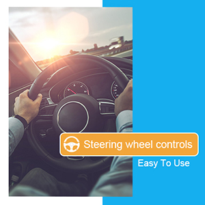 Steering Wheel Controls