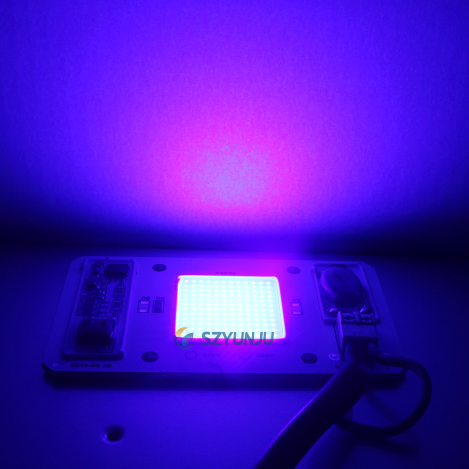 Уф 50. COB led Lamp Chip 220v Ultraviolet. УФ-прожектор 10w, 395нм. Ультрафиолетовый чип 50 Вт. Ультрафиолетовые лампочки 220 вольт.