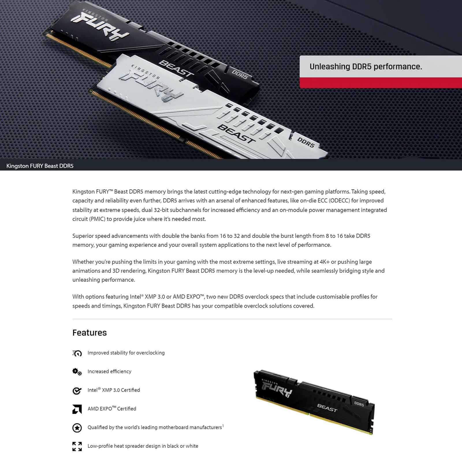 Kingston FURY BEAST DDR5 8GB 16GB 32GB 5200 5600 6000 MHZ Desktop