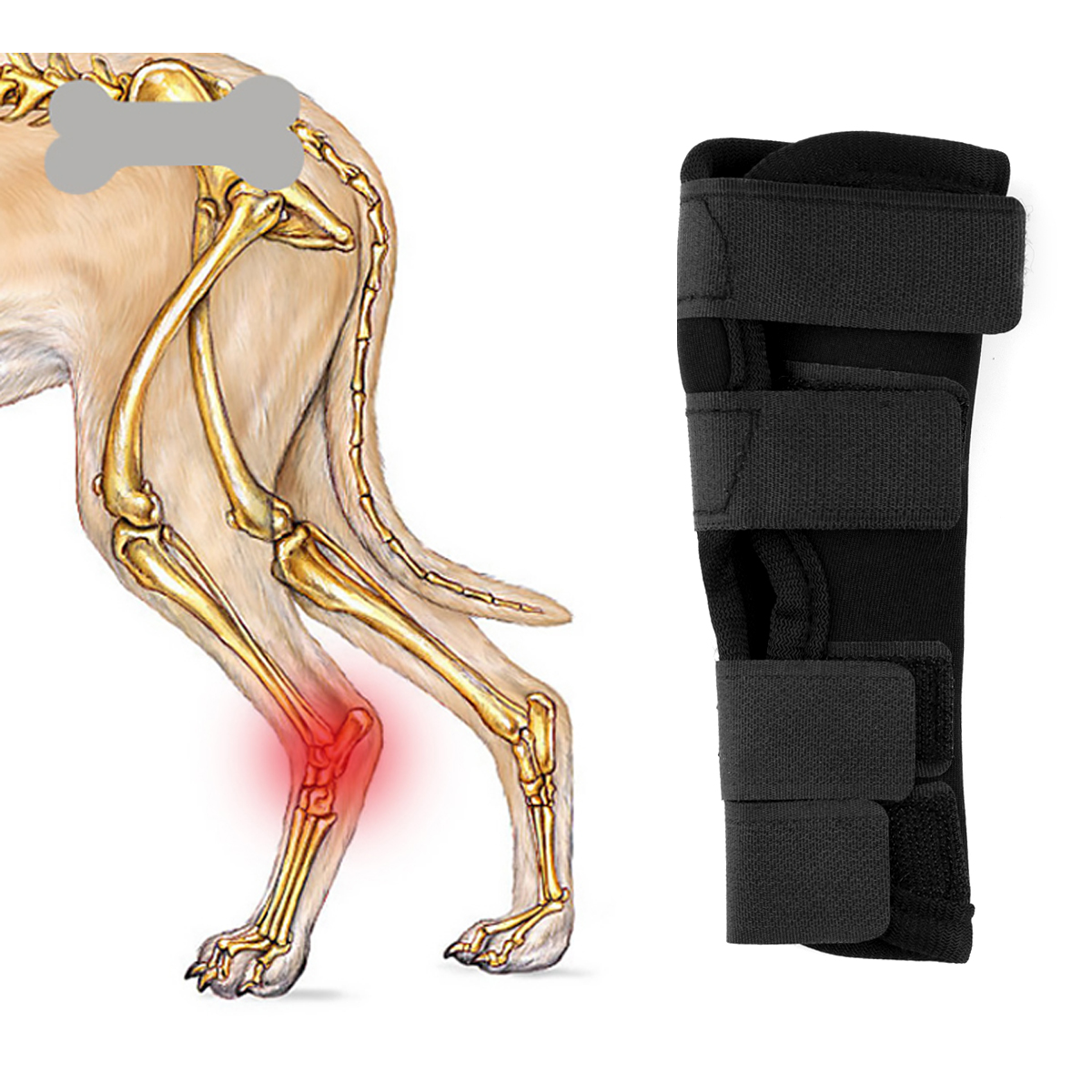 petsmart dog leg brace