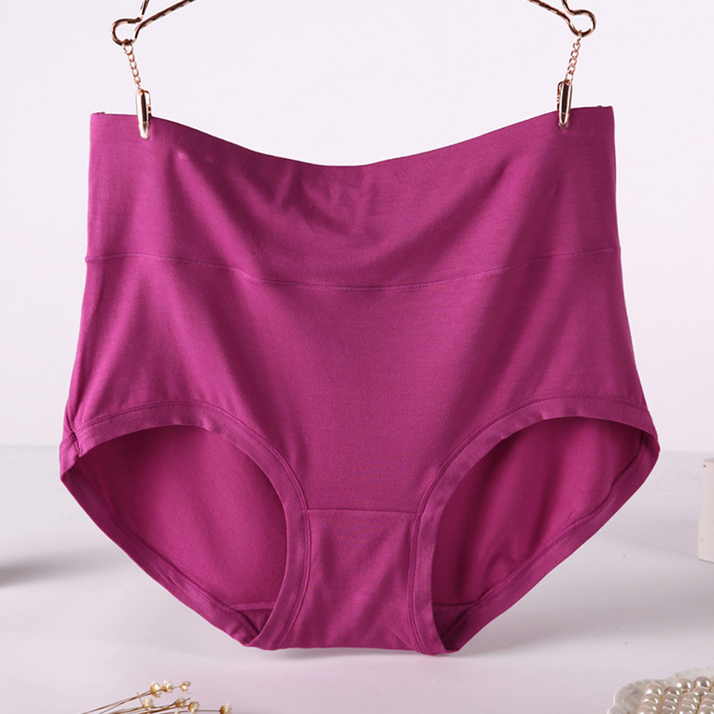 Seamless Lace Sexy Plus Size Womens Underwear Ladies High Waist Briefs
