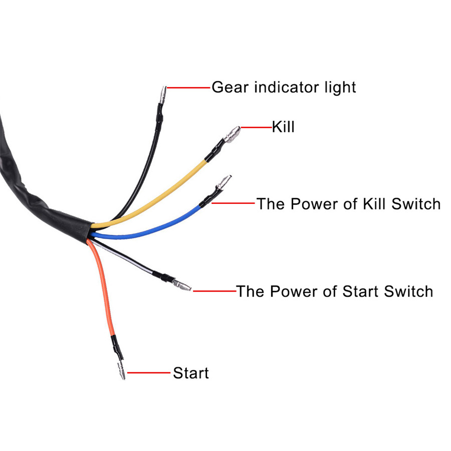 54 Starter Kill Switch Wiring Diagram Wiring Diagram Harness