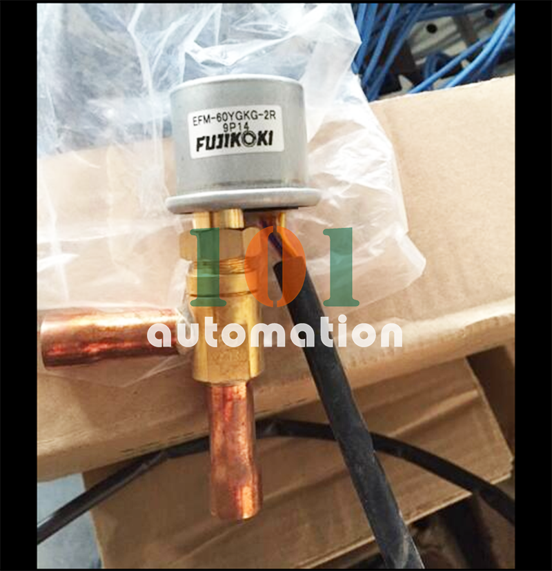 IGIMQMPQGKIKLFIPGQKIMLNPLPRIPK