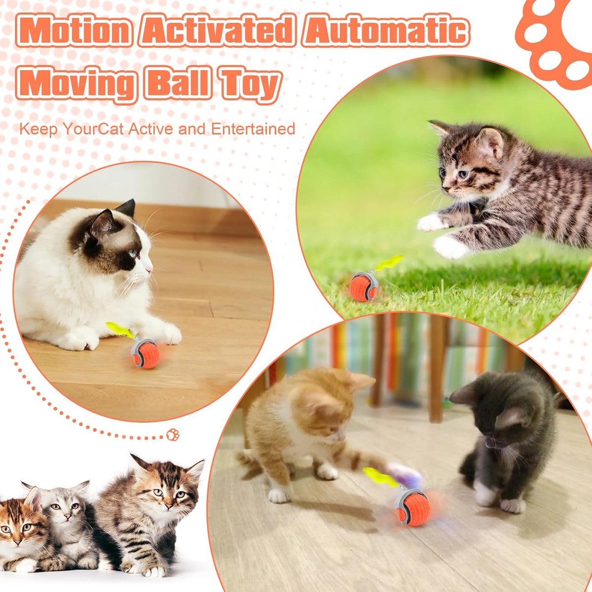 Kitty Toys For Lazy Cats Persian Cat Best Cat Toys For Lazy Cats