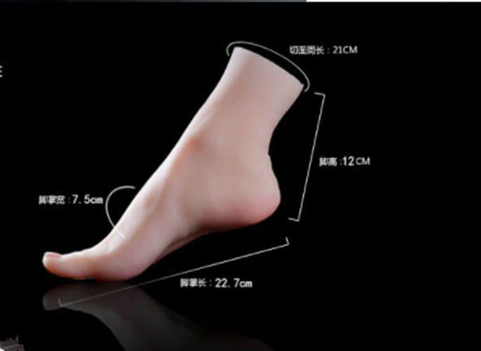 1pcs Lifelike Silicone Feet With Bone Female Foot Model Display Us Ebay