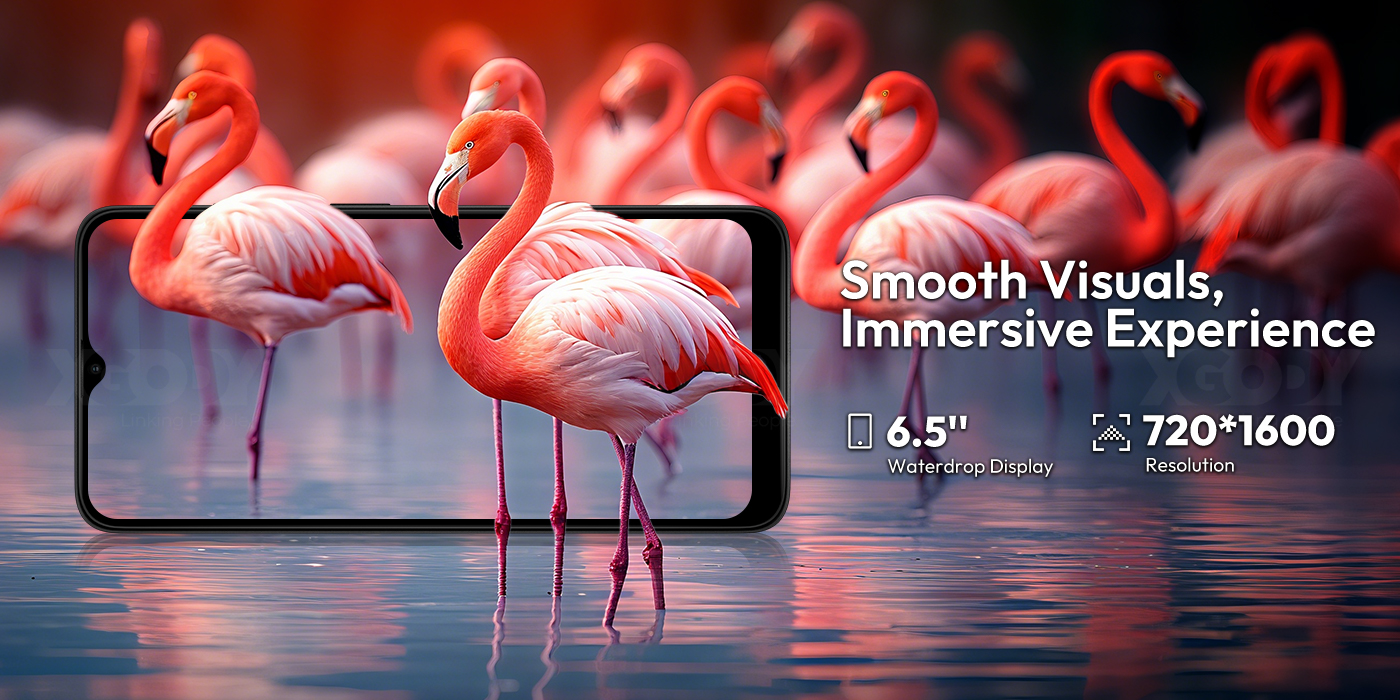 A0100883-X36 -4-1.jpg