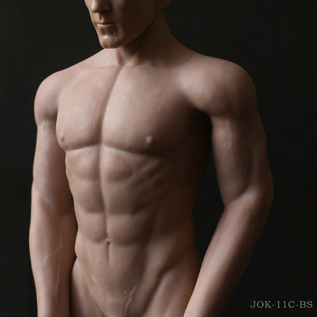 16 Scale Seamless Male Figure Body Muscular For 12 Phicen Tbleague Head Sculpt Ebay 8190