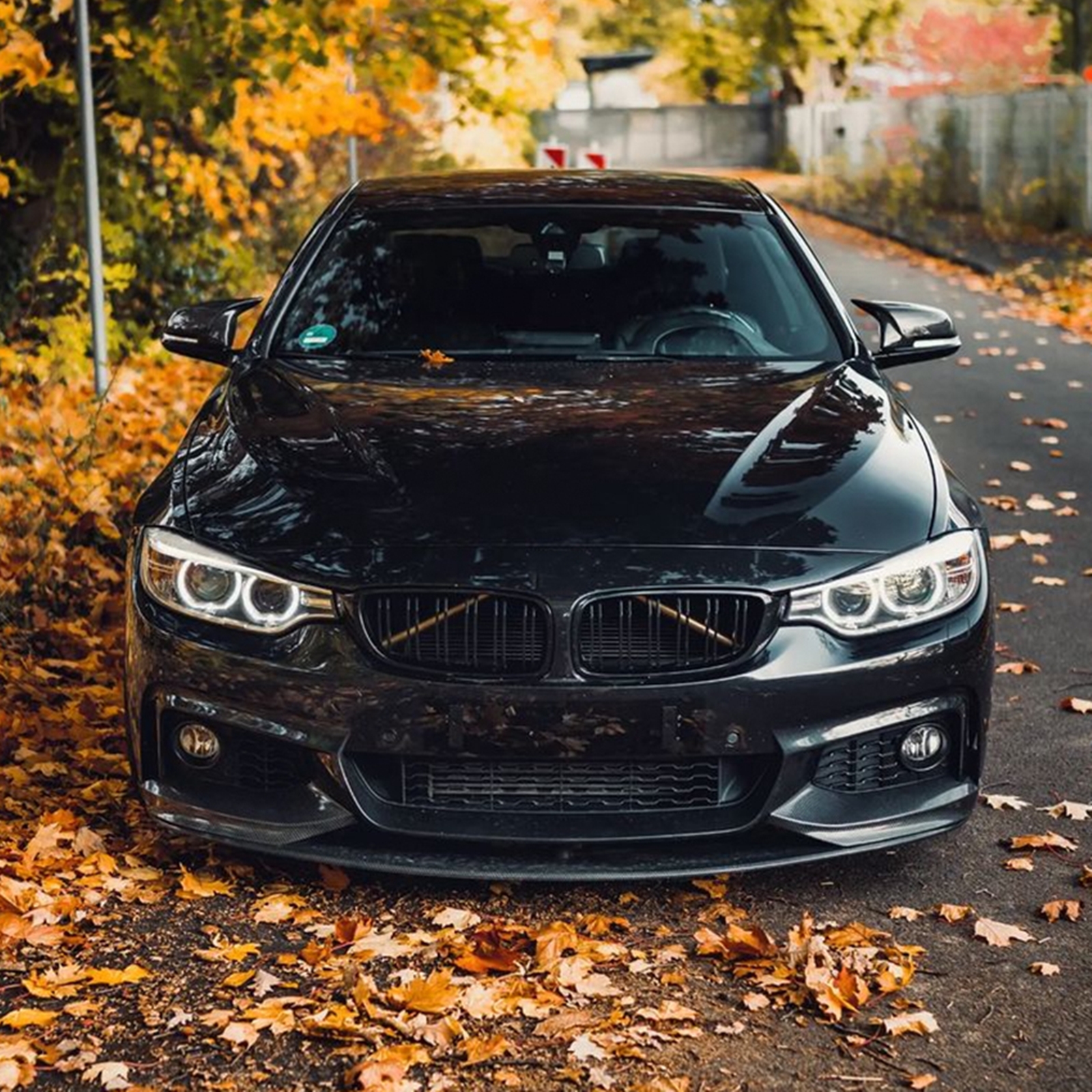 2-Piece Carbon Fiber Rear Bumper Lip For BMW 4 Series F32 2013-2020 - Side Fin Splitters & Protectors