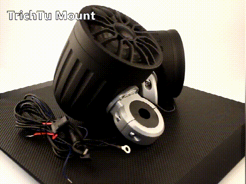 GIF.gif