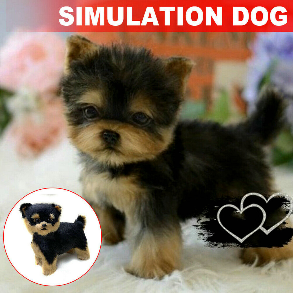 simulation yorkie