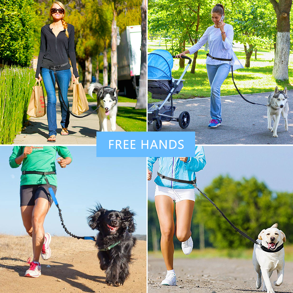 Hands Free Dog Leash Waist Belt Pouch Retractable Lead Walking Running Hiking 747742736919 eBay