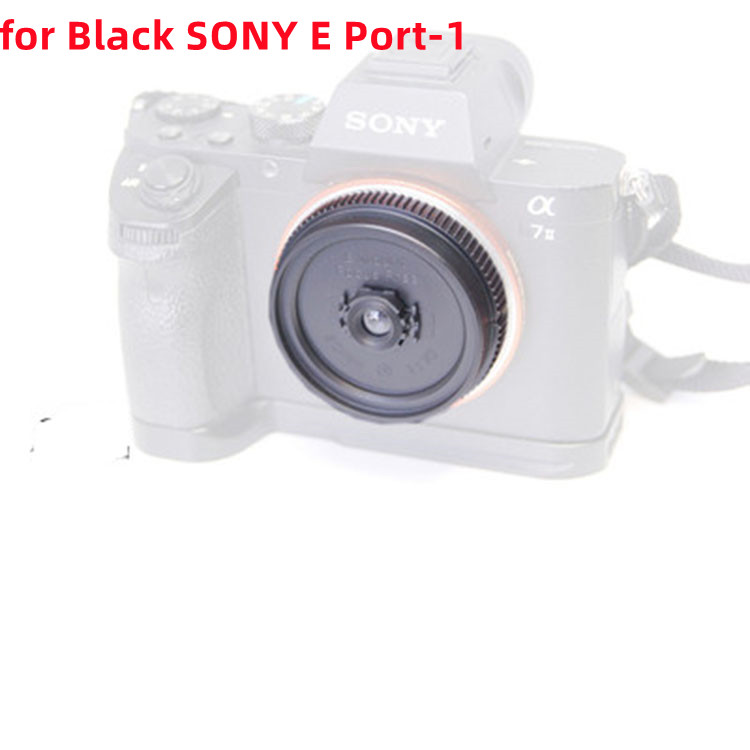 Pan-Focus Lenses Complete List of Micro SLR Mounts For FUJI LEICA