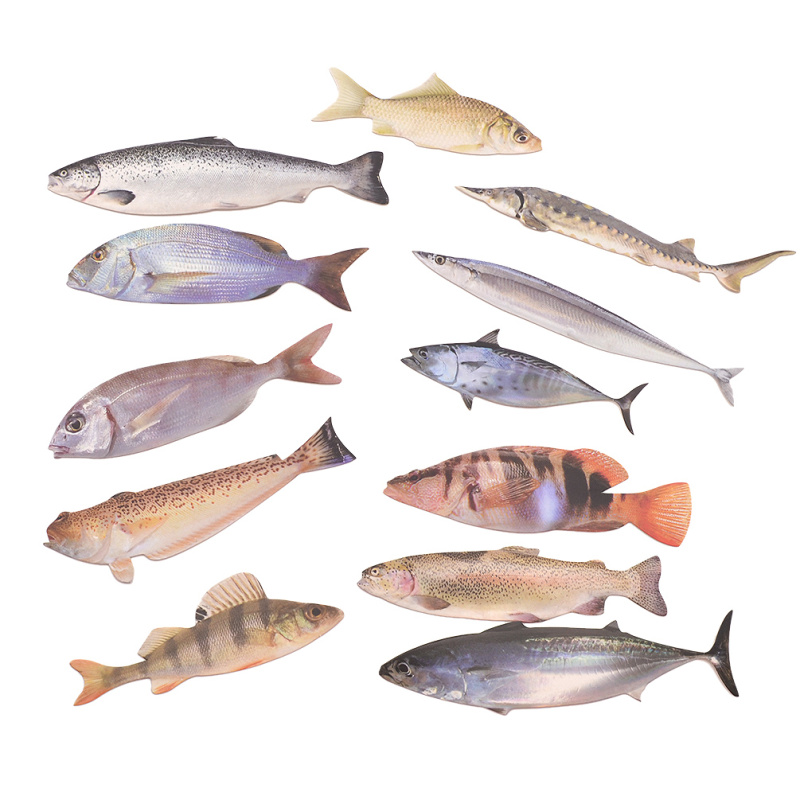 Salted fish examples image