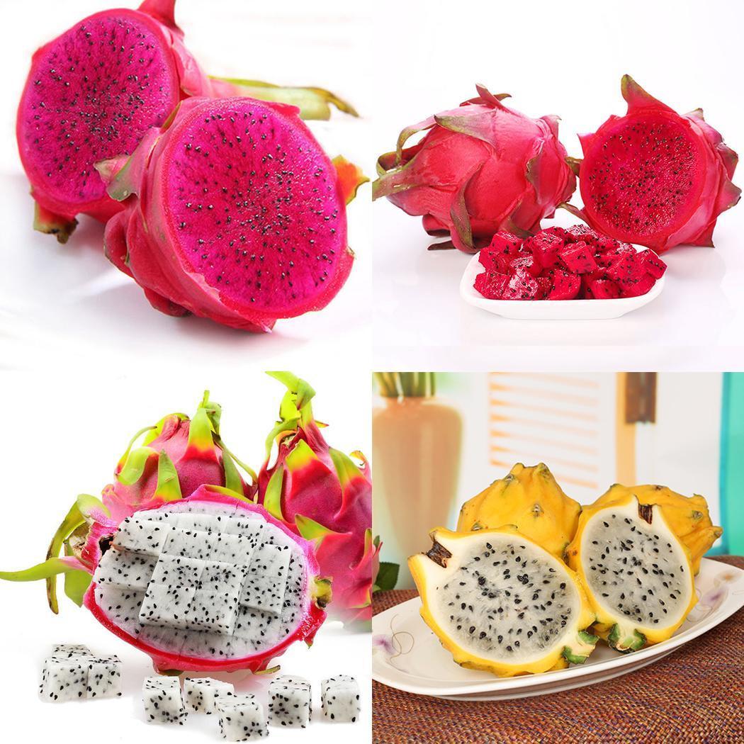 20pcs Pitaya Seeds Red Dragon Fruit Seeds Pitaya Pitahaya Bonsai Plant ...