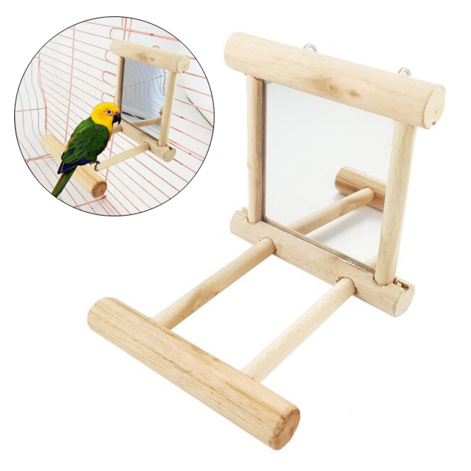 interactive toys for cockatiels