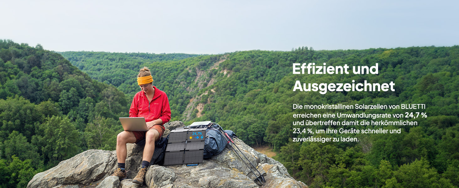 PV60F DE  A+ (3).jpg