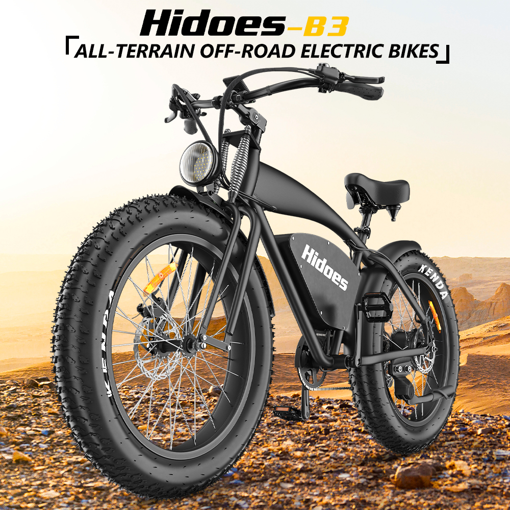 Hidoes B3 electric bike fat tire (1).jpg