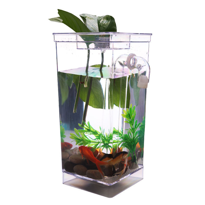 self cleaning my fun fish tank - small aquarium desktop