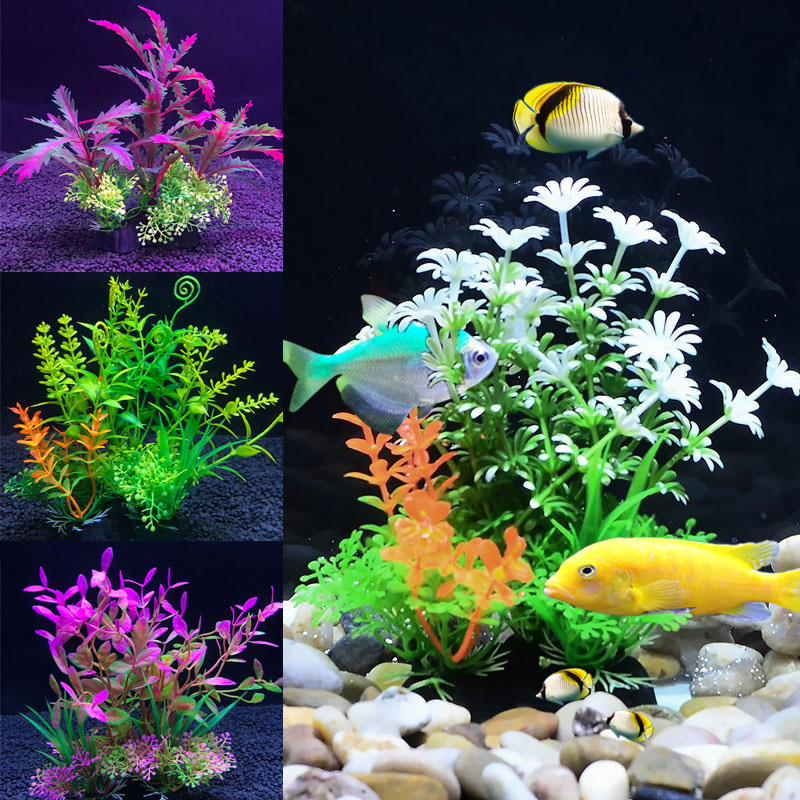 fish tank manufacturers