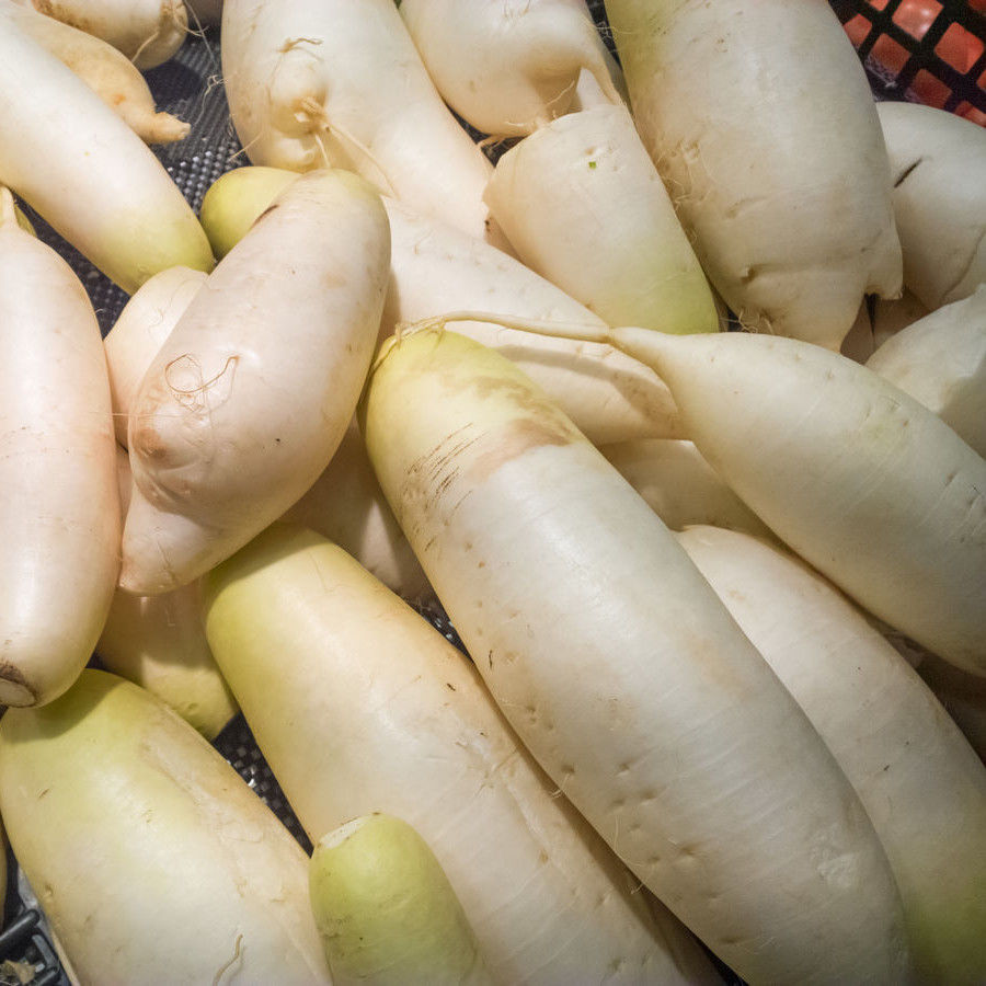 100Pcs White Water Radish seeds Fast Growing DIY Garden Vegetable