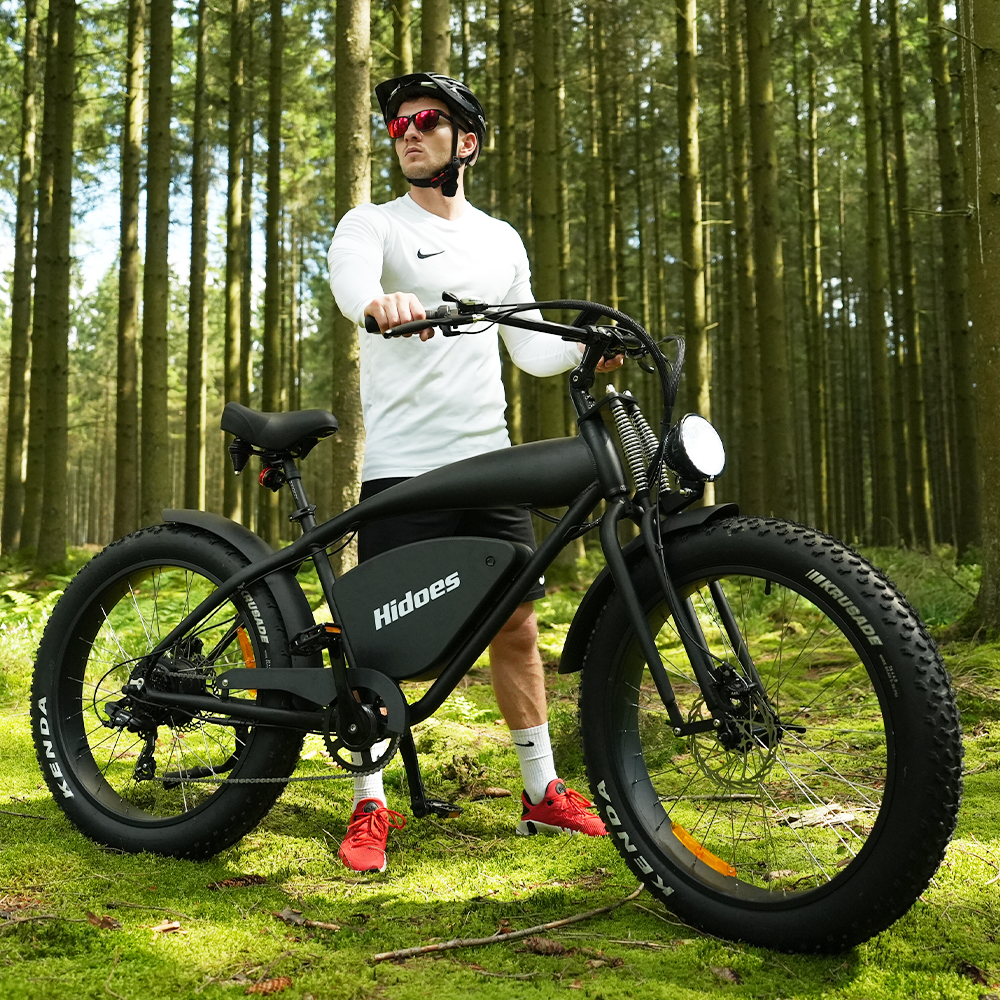 Hidoes B3 electric bike fat tire (19).jpg