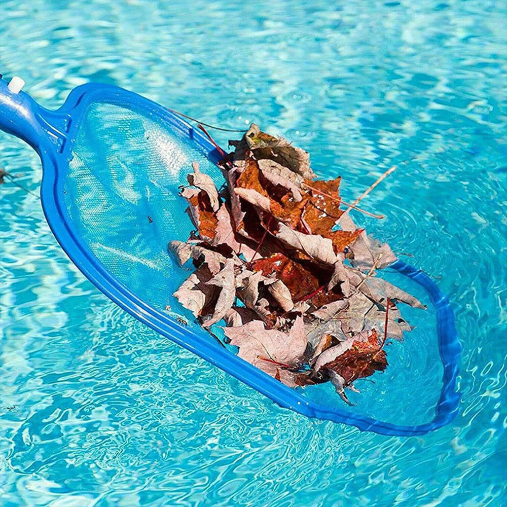 Pool net collecting leaves