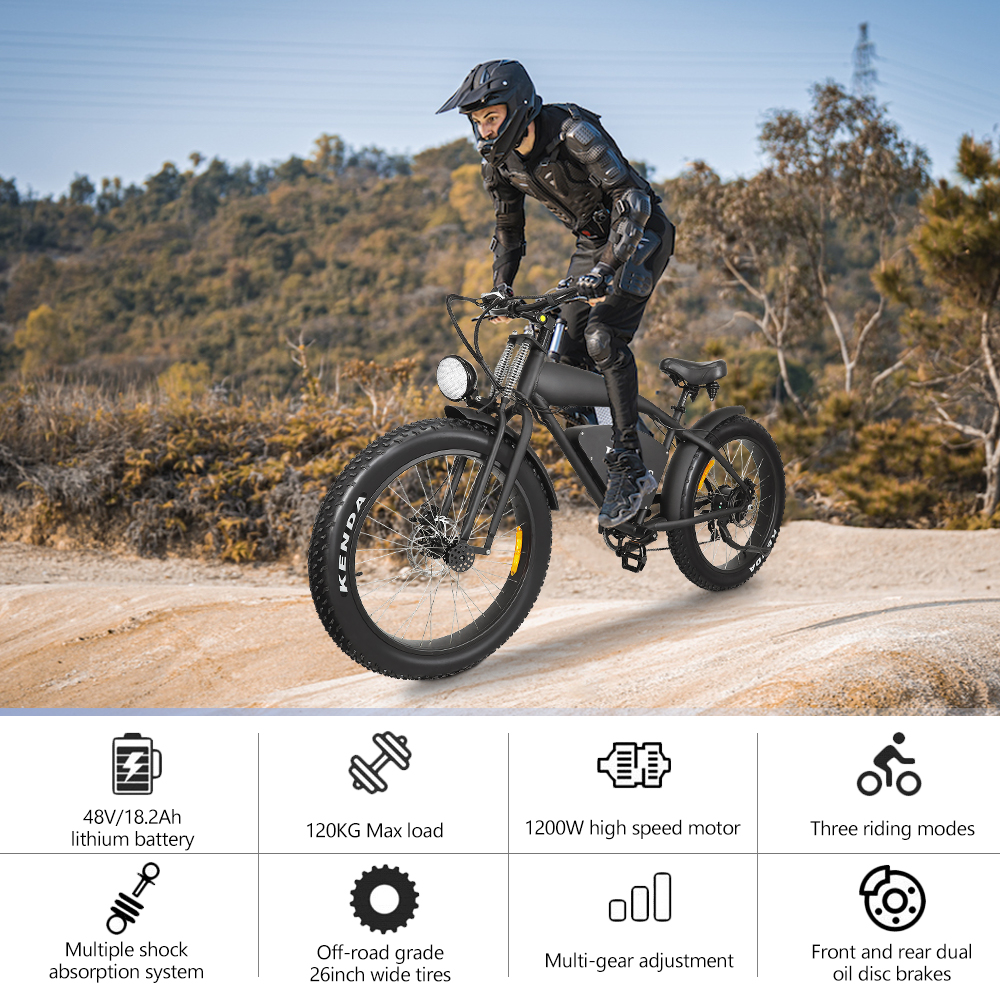 Hidoes B3 electric bike fat tire (14).jpg