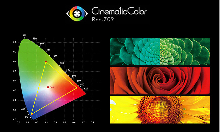 6-rgb-color-monitor.jpg