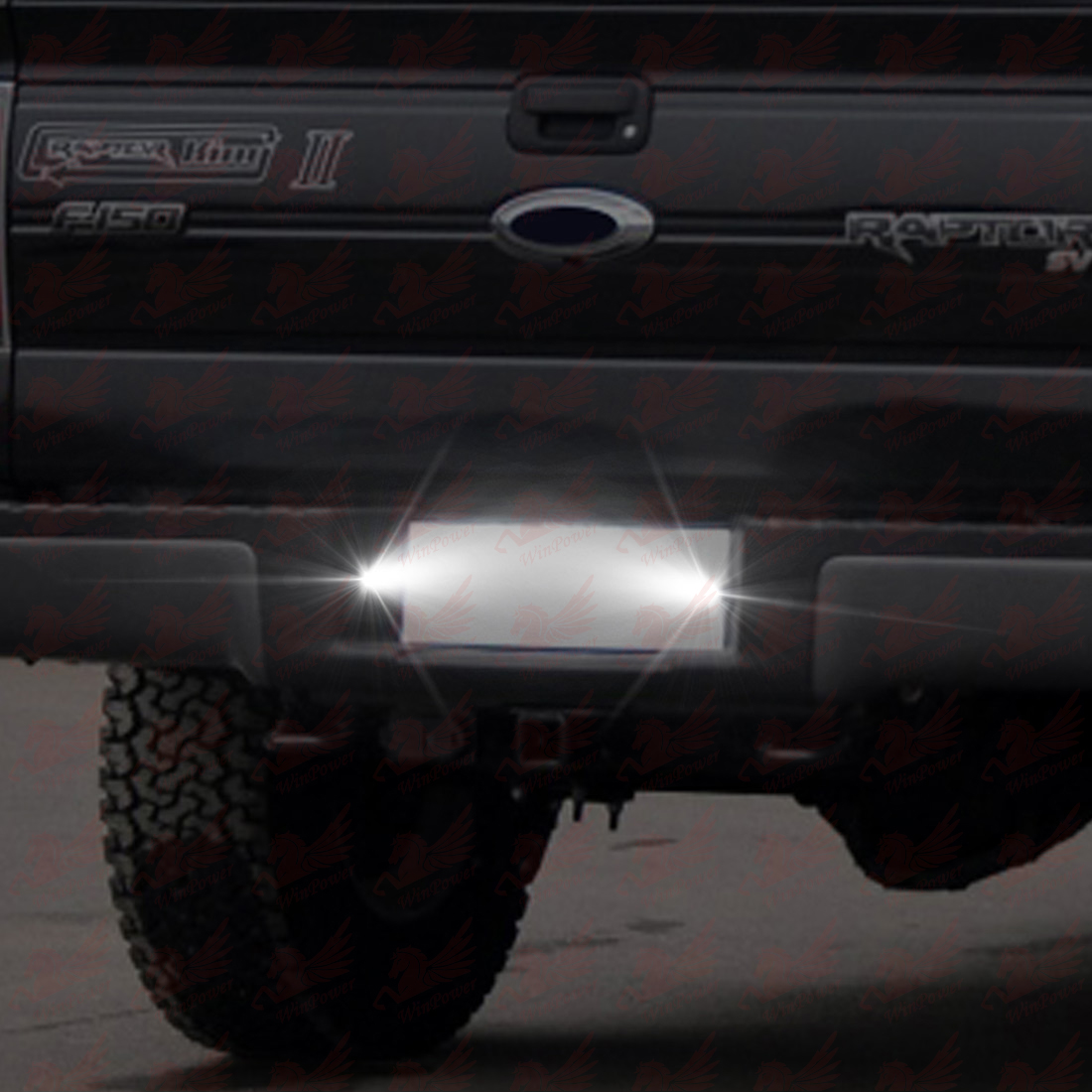 Ford F150 License Plate Light