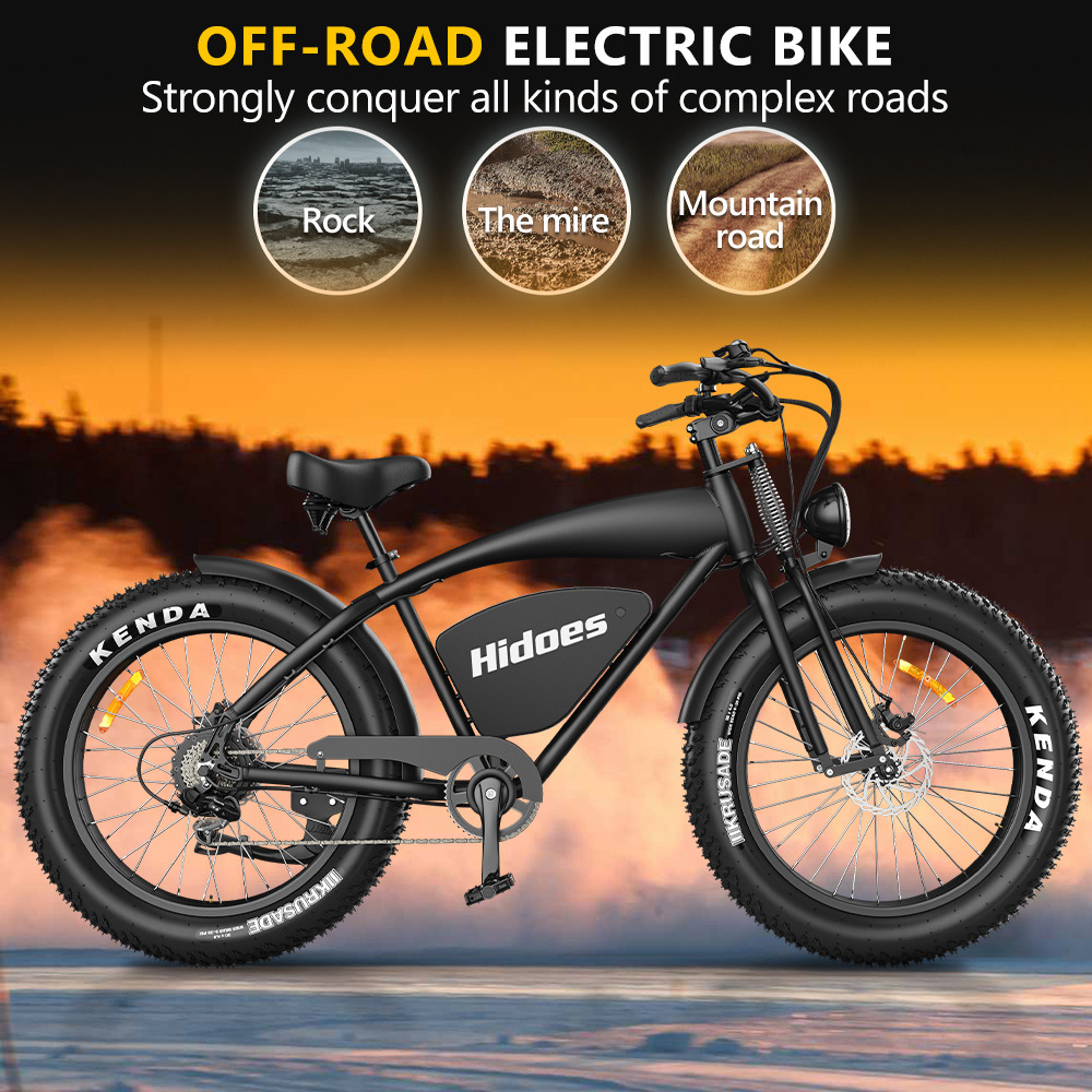 Hidoes B3 electric bike fat tire (5).jpg