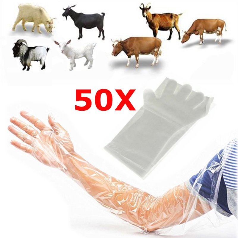 50X Long Arm Disposable Film Glove Veterinary Examination Farm Vet