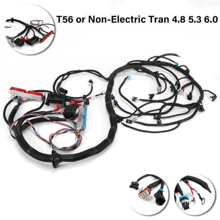 1997-2006 DBC LS1 Standalone Wiring Harness T56 or Non-Electric 4.8 5.3
