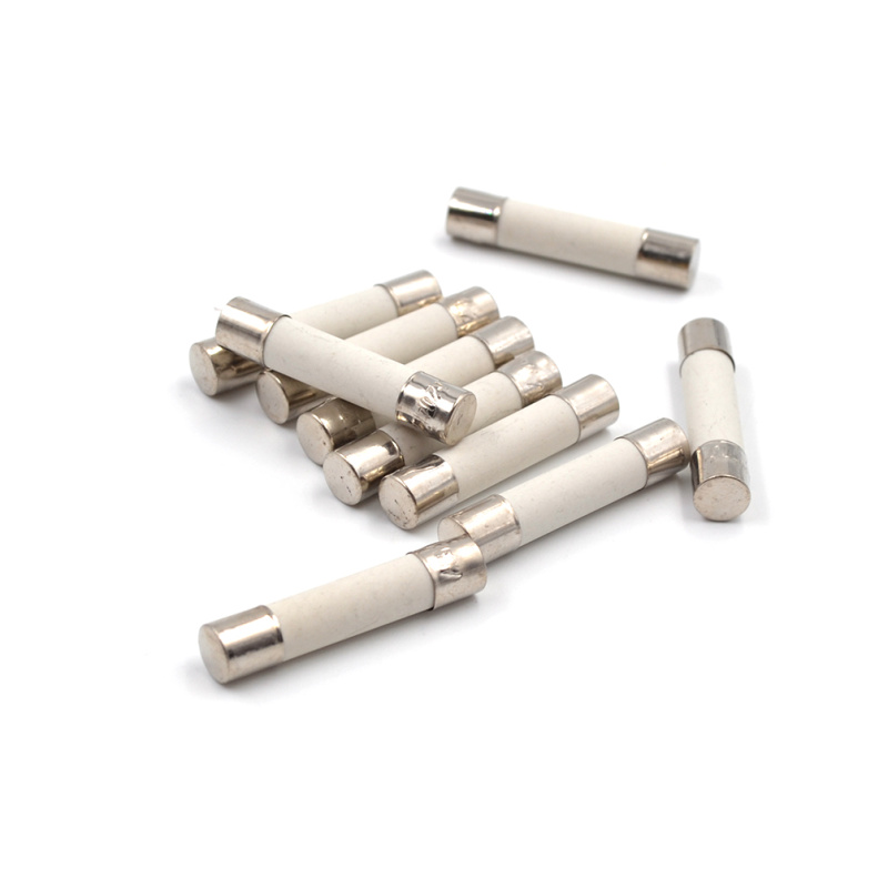 10 Pcs Microwave Ceramic Fuse Electric 20A 250V Home Supplies DIY