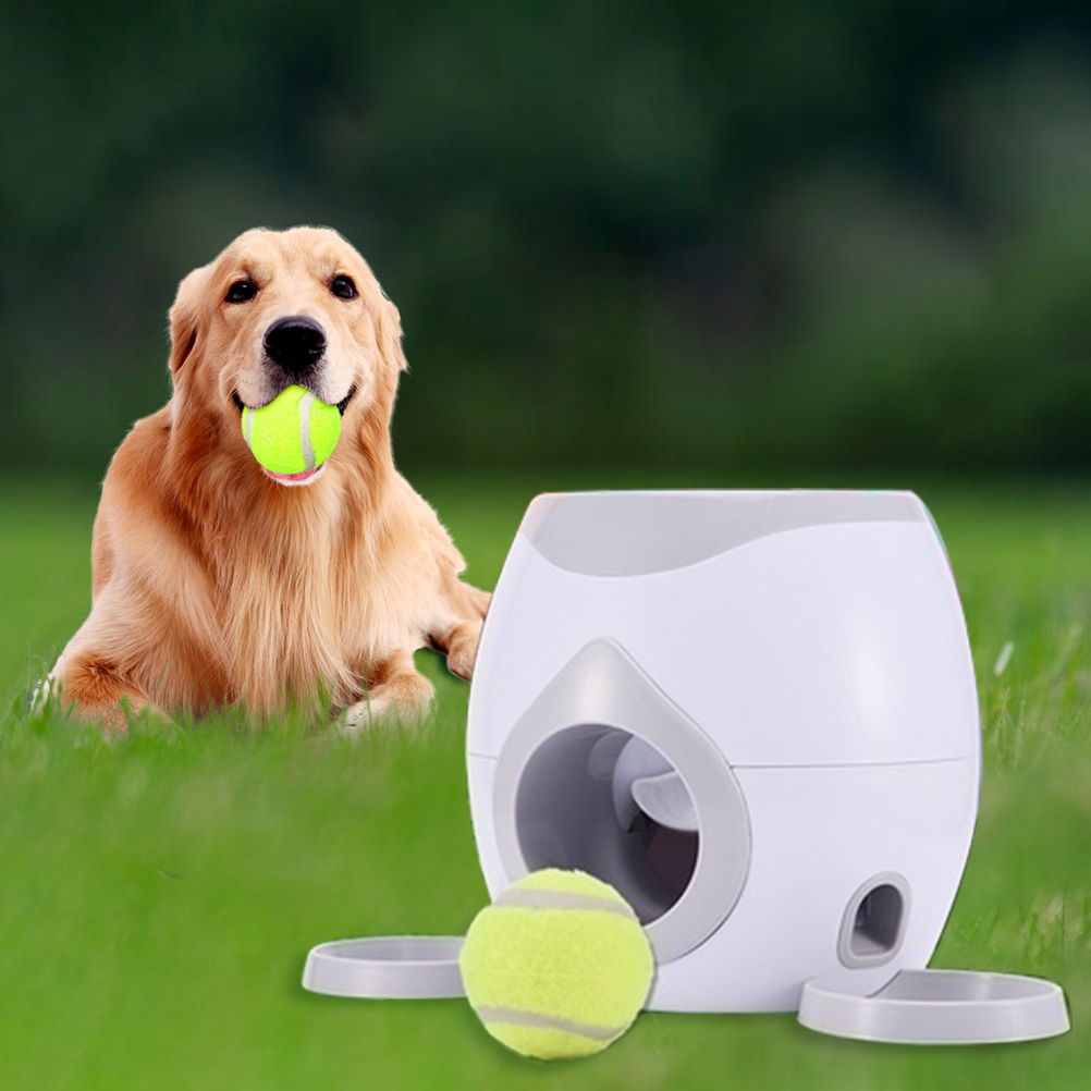 interactive pet feeder