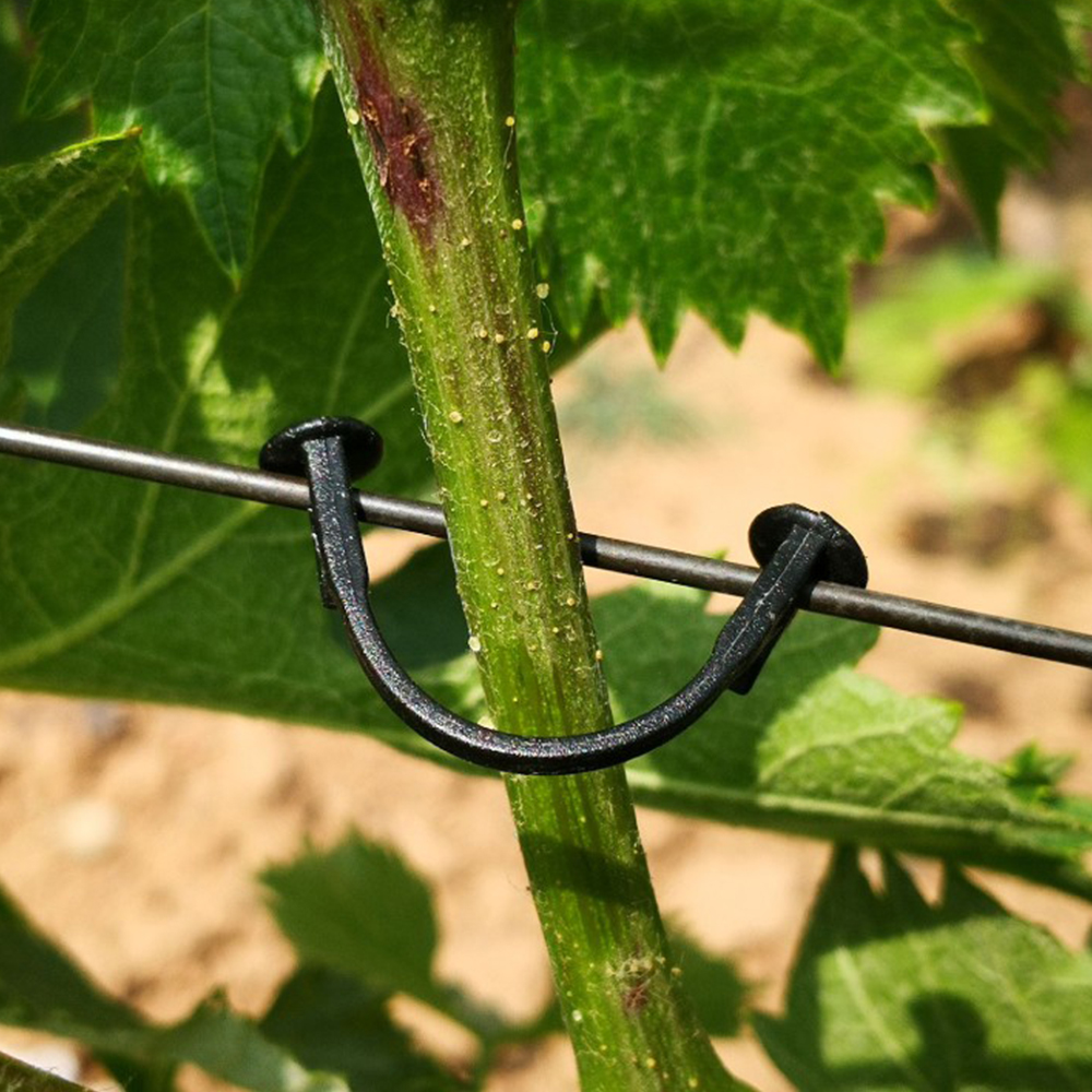 1PCS Garden Plant Climbing Trellis Mini Plant Pots Support Vegetables FlowersDIY