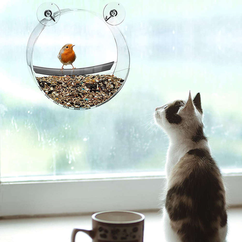 Squirrel Resistant And Weatherproof Design For All Weather
