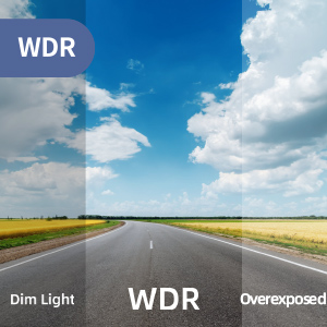 WDR.jpg