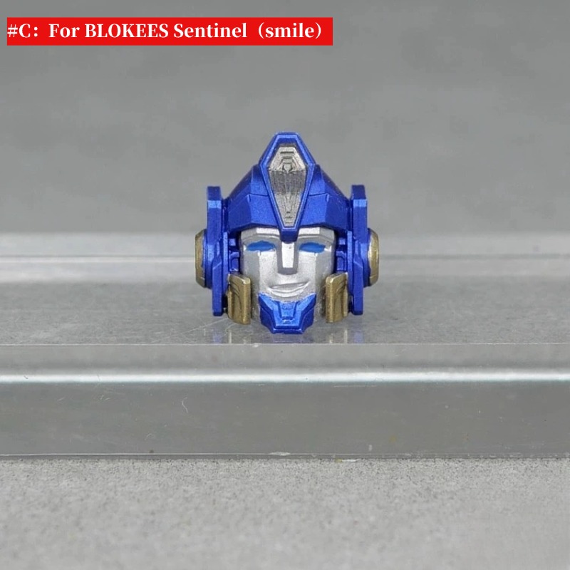 3D DIY Head Upgrade Kit For Legacy Lockdown BLOKEES Sentinel