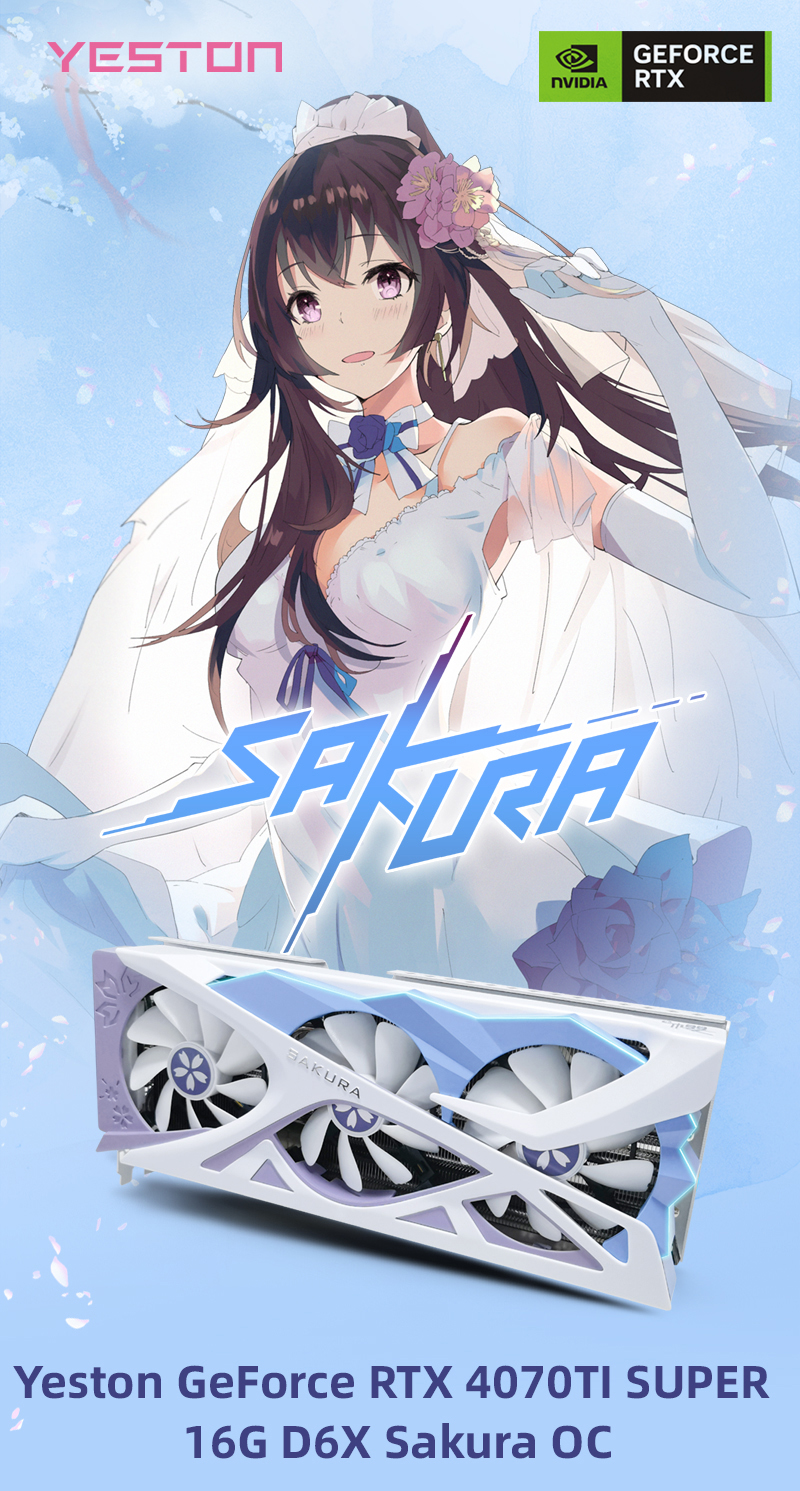 NVIDIA YESTON RTX4070 Ti SUPER - Sakura 16G/256bit/GDDR6X Ray