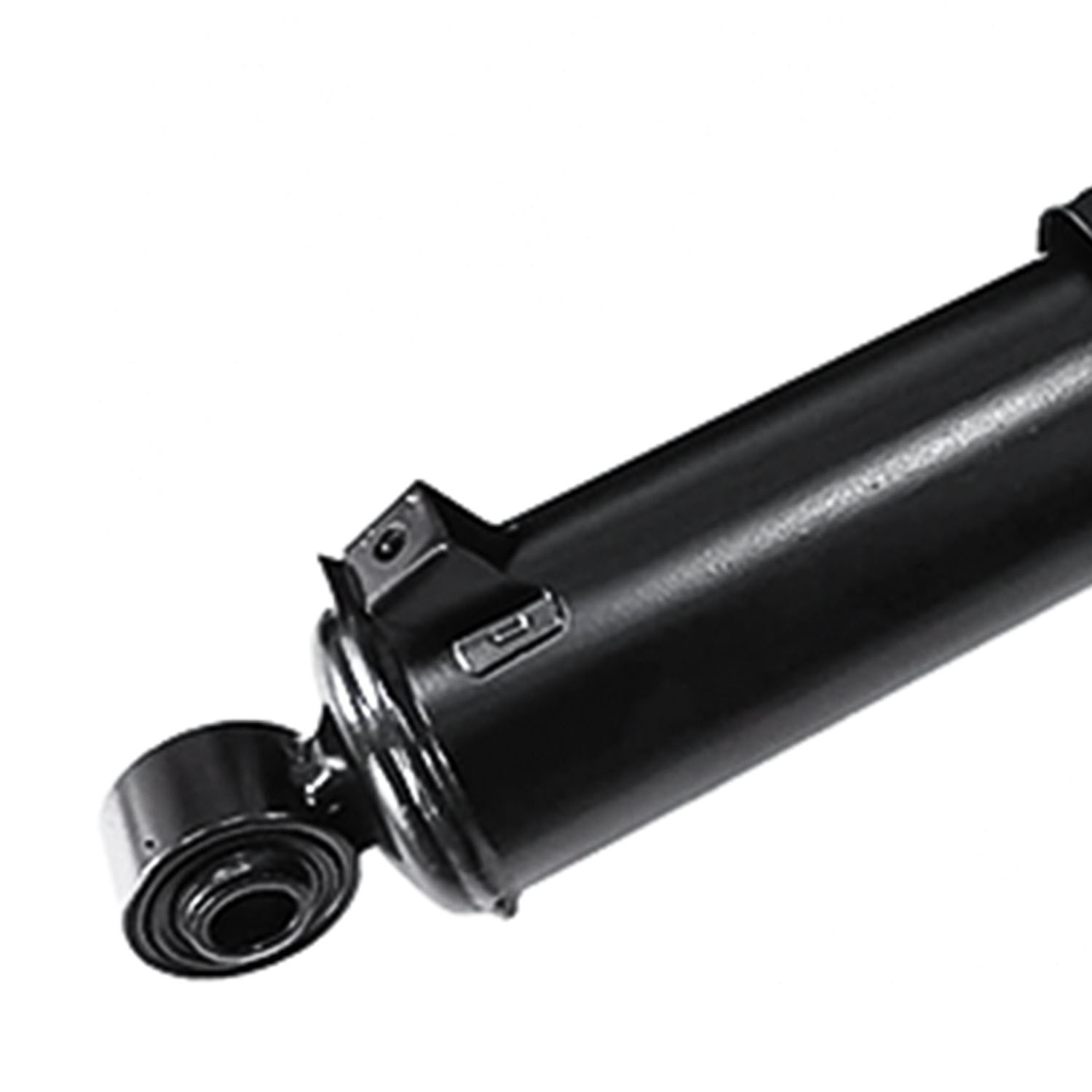 Amazon.com: CCIYU Complete Struts Spring for Toyota Avalon