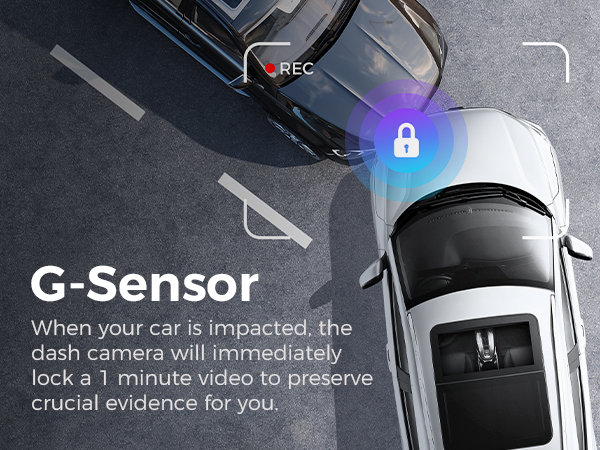 画板 1 拷贝 7.jpg