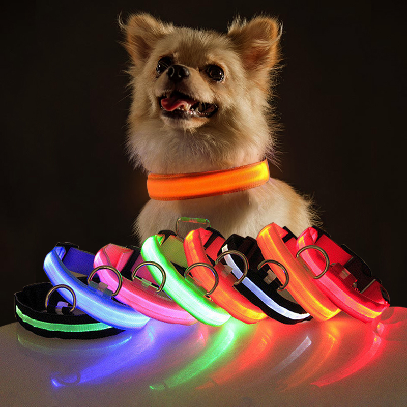 und-Kragen-Hund-Sicherheit-Nachtlicht-Blinkende-Halskette-Leuchtstoff-Halsb-nder-Pet-Liefert (1).jpg