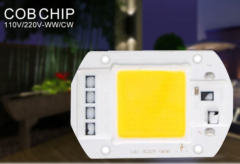 10W 50W 100W LED COB Lamp Chip High Power LED Diode Matrix Array