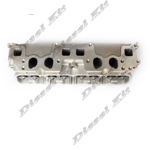 New Cylinder Head Assembly 91H20-00310 For CHI52N Forklift